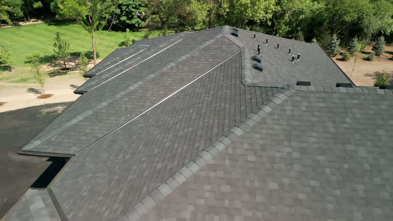 Best Roof Moss and Algae Removal  in Glendale Heights, IL